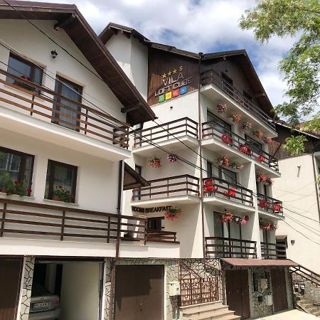 Vila Loft Cube Sinaia Dış mekan fotoğraf