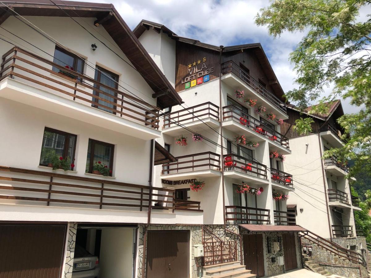 Vila Loft Cube Sinaia Dış mekan fotoğraf