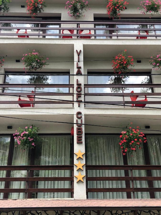 Vila Loft Cube Sinaia Dış mekan fotoğraf